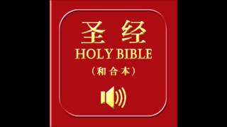 和合本圣经 • 阿摩司书  Chinese Union Version Bible • Amos [upl. by Janelle]