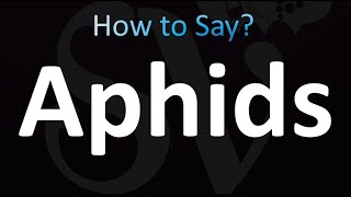 How to Pronounce Aphids Correctly [upl. by Ammamaria]