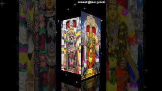 Murugan songMurugan padalமுருகன் பாடல்முருகன்muruganshorts [upl. by Asilanna]