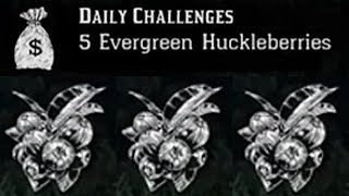 🍒 Evergreen Huckleberry Locations RDR2 Online Daily Challenge Location Guide Red Dead Redemption 2 [upl. by Chessa547]