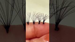 lash extensions fans for beginners lashtech lashtips lashinspo beginnerlashtech lashes [upl. by Priest955]