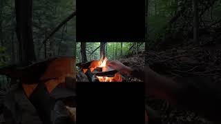 Cooking Fat Back Bacon amp Bread on Rock cooking camping campfirecooking bushcraftcooking [upl. by Abla]