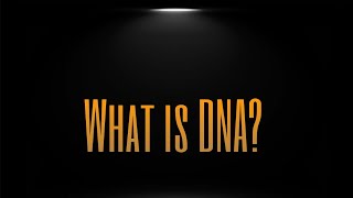 What is DNA  Ft Black Role [upl. by Kenta348]