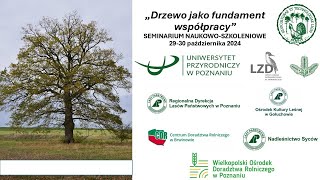 Drzewo jako fundament współpracy [upl. by Ilse846]