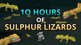 Loot From 10 Hours Of Sulphur Lizards [upl. by Lerrud]