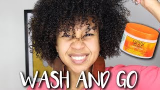 Wash and Go Tutorial Cantu Coconut Curling Cream Review [upl. by Fairfax]