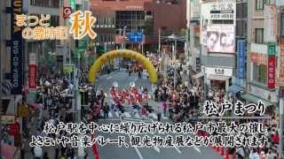 松戸の秋（松戸まつり～南部市場祭～本土寺の紅葉） [upl. by Shinberg]