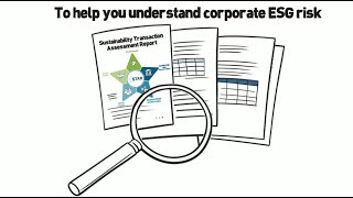 Sustainability Transaction Assessment Report STAR for ESG Due Diligence [upl. by Cioban66]