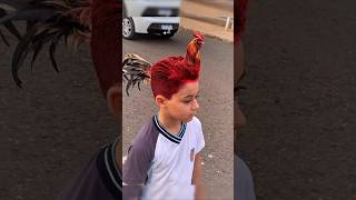 Man transforms into a real Rooster 🐓 in AGT Americas got talent 😱😂 Duo SchumacherAGTmagic [upl. by Pompea]