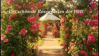 Der schönste Rosengarten der Welt PhantasiereiseFantasiereise [upl. by Anesuza]