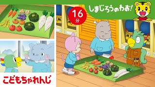 【16分アニメ】やおやさんにチャレンジ☆  おみせやさんごっこ・ごっこ遊び  しまじろうのわお！アニメ  しまじろうチャンネル公式 [upl. by Katharyn642]