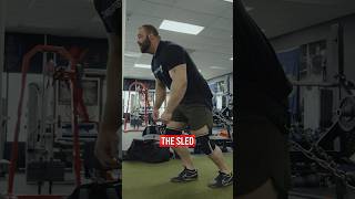 How to Do Sled Pull Exercise CoachAlexKopp fitness athlete [upl. by Josey]