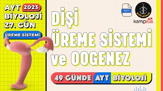 27 Dişi Üreme Sistemi ve Oogenez  Üreme Sistemi 11 Sınıf  2023 AYT Biyoloji Kampı 27 Gün [upl. by Patience851]