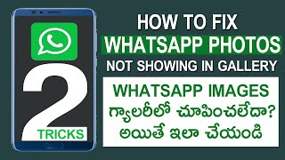 WhatsApp Photos and Videos not Showing in the Gallery Fix it to two easy Steps [upl. by Fair]