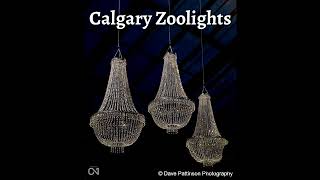 Calgary Zoolights [upl. by Amerak]