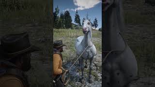 001 Have This  Rarest Horse RDR2 shorts rdr2 rdr2guide [upl. by Ehsom860]