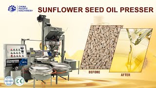 Oil Press MachineScrew Press Oil ExpellerSeed Oil ExtractionSunflower Oil Pressing Machine [upl. by Bunnie906]