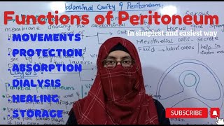 Functions of Peritoneum I Abdominal cavity and Peritoneum ayeshamedicaleducation [upl. by Switzer]