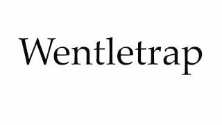 How to Pronounce Wentletrap [upl. by Atteynod]