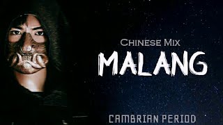 Malang Malang Title TrackHindi MixCambrian PeriodChinese Mix [upl. by Korie419]