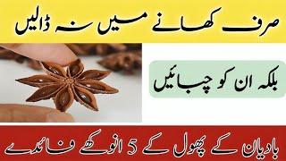 Badian khatai 5 Benefits  Star anise Benefits [upl. by Montanez]