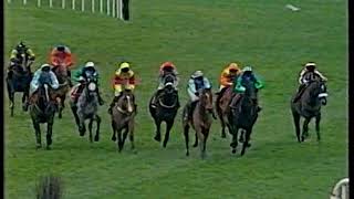 1998 Tingle Creek Chase Direct Route [upl. by Enela]