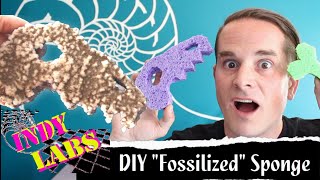 DIY Fossilized Sponge  Indy Labs 35 At Home DIY Science [upl. by Annair605]