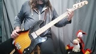 quotPossum Kingdomquot by The Toadies Bass Cover [upl. by Maryly778]