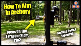 How to Aim Your Bow  Archery Sight Picture  Archery Basics Explained [upl. by Gnoz]