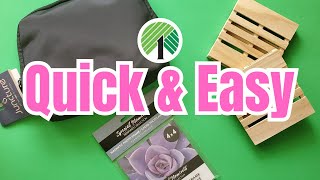 Run to Dollar Tree for These Quick amp Easy Cricut Crafts [upl. by Analaj468]