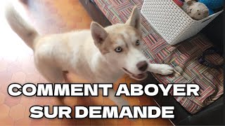 Comment faire aboyer un chien  Tuto [upl. by Gelhar]