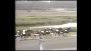 Svenskt Trav Derby 1985 Big Spender [upl. by Aivatra498]