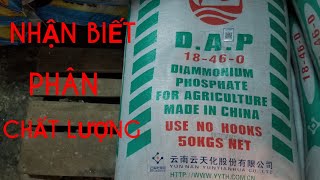 Phân bón DAP Nông dân cần biết Kinh nghiệm nhận biết phân DAP loại I [upl. by Myriam263]