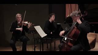 Beethoven Archduke Trio mvt 1  Lions Gate Trio [upl. by Anica]