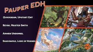 Pauper EDH  Quickbeam VS Reyav VS Arwen VS Shadowfax [upl. by Fatma]