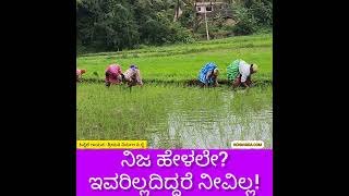 ಕಾಣೆಯಾಗುತ್ತಿರುವ ಈ ಮಹಿಳೆಯರು ಈಗೀಗ ಎಲ್ಲಾ ಕಡೆ Mechanised Farming [upl. by Haddad]