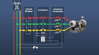 Motor Overload Protection [upl. by Neetsyrk]