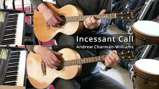 Incessant Call  tenor guitars [upl. by Ocirrej]