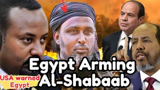 Egypt’s Dark Role in Arming AlShabaab amp Houthis of the babelmandeb [upl. by Eillek]