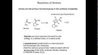 Final Reactions Alcohols and Amines [upl. by Katy]