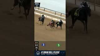 Drum Roll Please wins the 2023 Jerome Stakes at Aqueduct [upl. by Yance862]