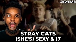 🎵 Stray Cats  Shes Sexy amp 17 REACTION [upl. by Elstan456]