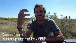 Master class de Sebastián Zuccardi Los terruños suelos y sueños en Monasterio Gualtallary [upl. by Dincolo637]