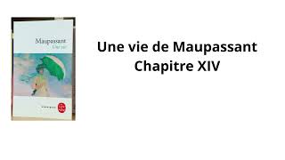 14 Une vie de Maupassant Chapitre 14 Livre audio [upl. by Natascha443]