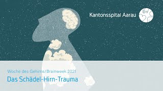 Das SchädelHirnTrauma Eine bildmorphologische Schadensbilanz [upl. by Rupert945]