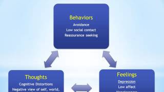 Intervention Internalizing Behaviors [upl. by Lekzehcey]