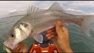 Pêche du Bar en Kayak aux leurres Septembre 2013 en Normandie HD 1080P [upl. by Orodoet628]