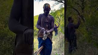 hadzabe wildnature wildlife adventure tribe africa africaadventure animals hunt challenge [upl. by Seroka]