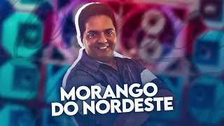 Morango do nordeste  Laírton VERSÃO FORRÓBOYS QUALITYREMIX [upl. by Ainet]