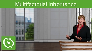 Multifactorial Inheritance Qualitative amp Quantitative Traits – Medical Genetics  Lecturio [upl. by Analad]